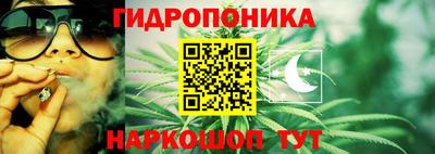 спайс Пугачёв
