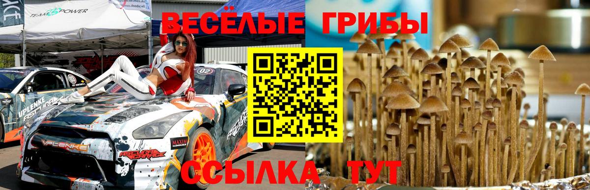 Галлюциногенные грибы Magic Shrooms  Вход с VPN  Ростов-на-Дону 